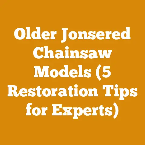 Older Jonsered Chainsaw Models (5 Restoration Tips for Experts)