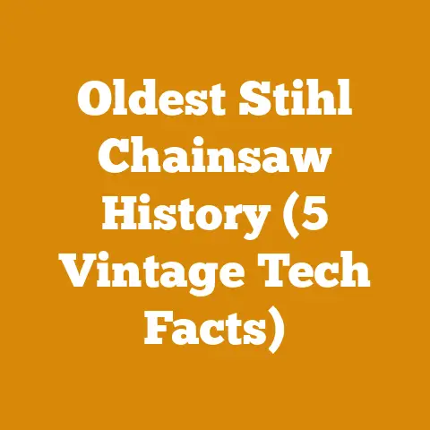 Oldest Stihl Chainsaw History (5 Vintage Tech Facts)