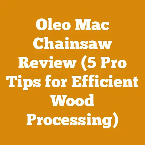 Oleo Mac Chainsaw Review (5 Pro Tips for Efficient Wood Processing)