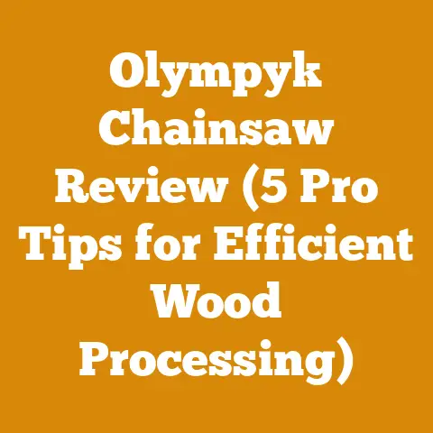 Olympyk Chainsaw Review (5 Pro Tips for Efficient Wood Processing)