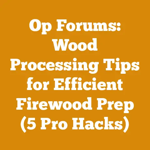 Op Forums: Wood Processing Tips for Efficient Firewood Prep (5 Pro Hacks)