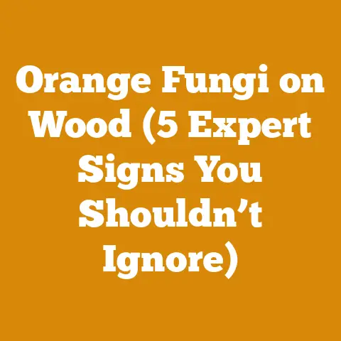 Orange Fungi on Wood (5 Expert Signs You Shouldn’t Ignore)
