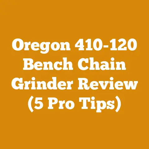 Oregon 410-120 Bench Chain Grinder Review (5 Pro Tips)