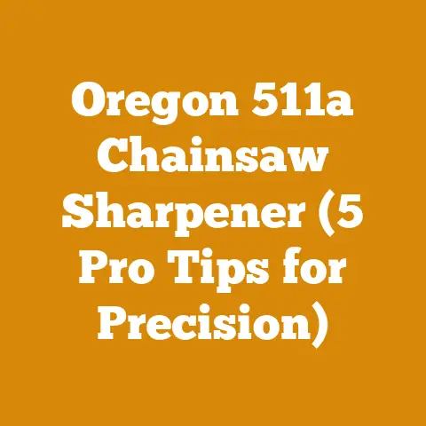Oregon 511a Chainsaw Sharpener (5 Pro Tips for Precision)
