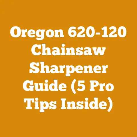 Oregon 620-120 Chainsaw Sharpener Guide (5 Pro Tips Inside)