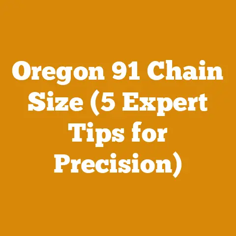 Oregon 91 Chain Size (5 Expert Tips for Precision)