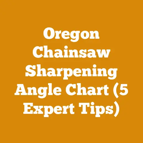 Oregon Chainsaw Sharpening Angle Chart (5 Expert Tips)