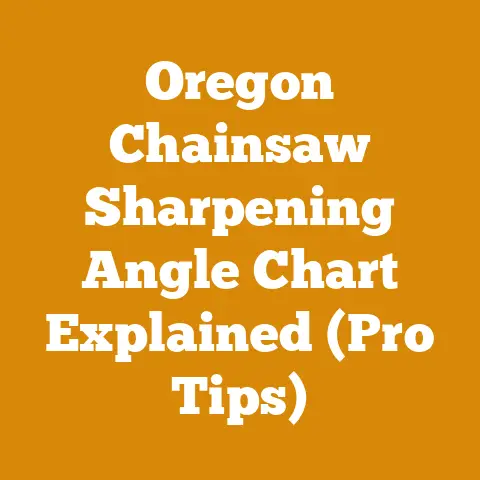 Oregon Chainsaw Sharpening Angle Chart Explained (Pro Tips)
