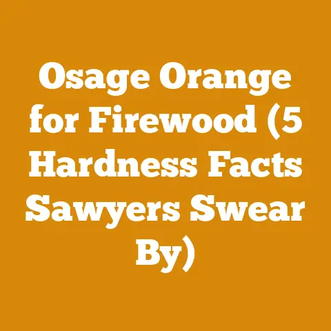 Osage Orange for Firewood (5 Hardness Facts Sawyers Swear By)