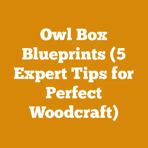 Owl Box Blueprints (5 Expert Tips for Perfect Woodcraft)
