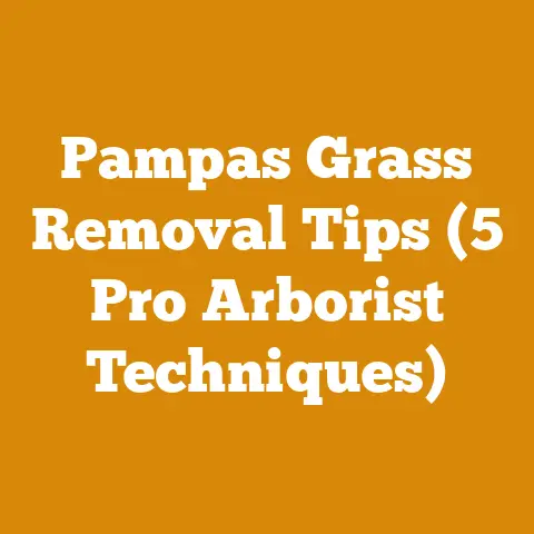 Pampas Grass Removal Tips (5 Pro Arborist Techniques)