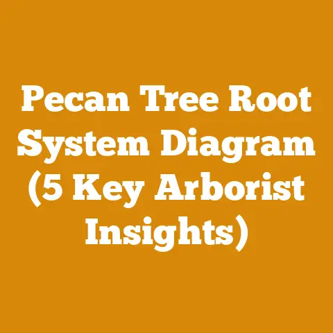 Pecan Tree Root System Diagram (5 Key Arborist Insights)