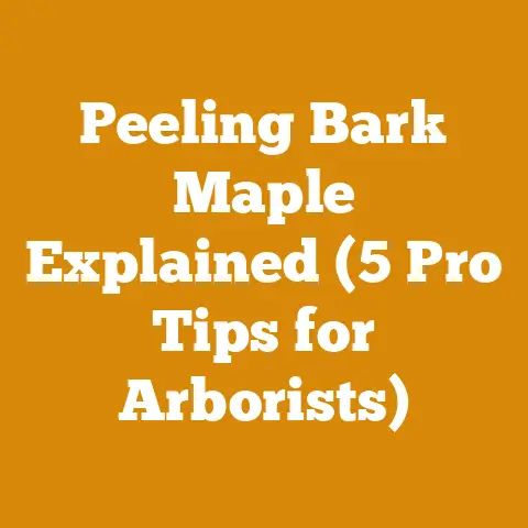 Peeling Bark Maple Explained (5 Pro Tips for Arborists)
