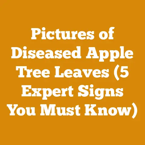 Pictures of Diseased Apple Tree Leaves (5 Expert Signs You Must Know)