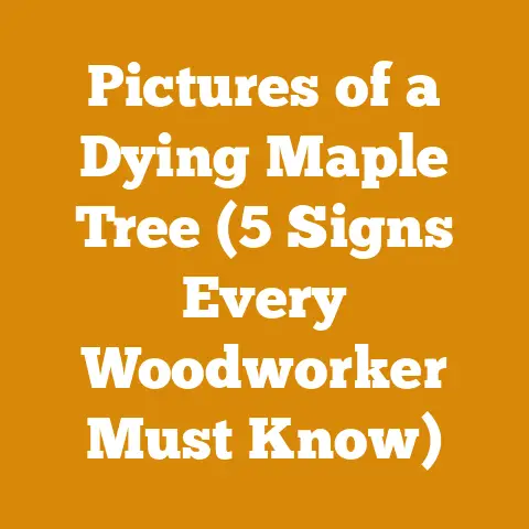 Pictures of a Dying Maple Tree (5 Signs Every Woodworker Must Know)