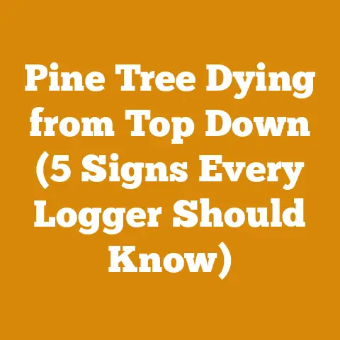 Pine Tree Dying from Top Down (5 Signs Every Logger Should Know)