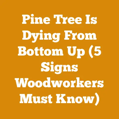 Pine Tree Is Dying From Bottom Up (5 Signs Woodworkers Must Know)