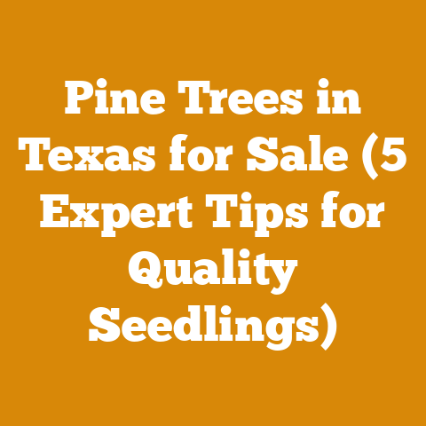 Pine Trees in Texas for Sale (5 Expert Tips for Quality Seedlings)
