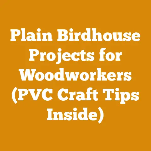 Plain Birdhouse Projects for Woodworkers (PVC Craft Tips Inside)