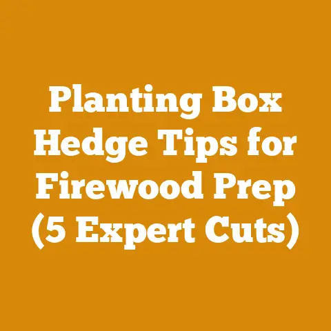 Planting Box Hedge Tips for Firewood Prep (5 Expert Cuts)
