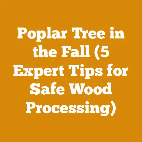Poplar Tree in the Fall (5 Expert Tips for Safe Wood Processing)