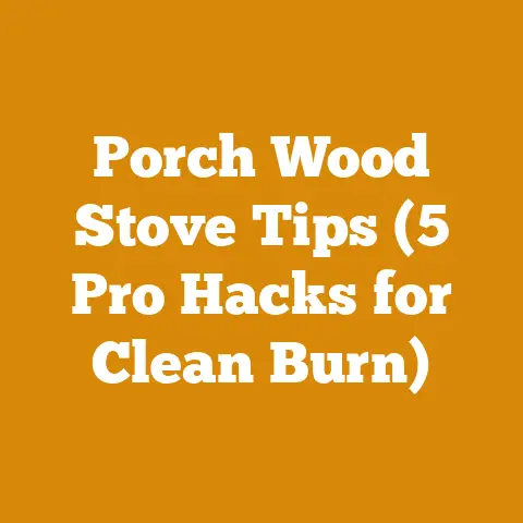 Porch Wood Stove Tips (5 Pro Hacks for Clean Burn)
