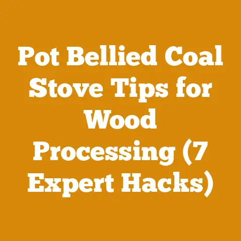 Pot Bellied Coal Stove Tips for Wood Processing (7 Expert Hacks)