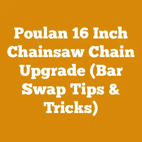 Poulan 16 Inch Chainsaw Chain Upgrade (Bar Swap Tips & Tricks)