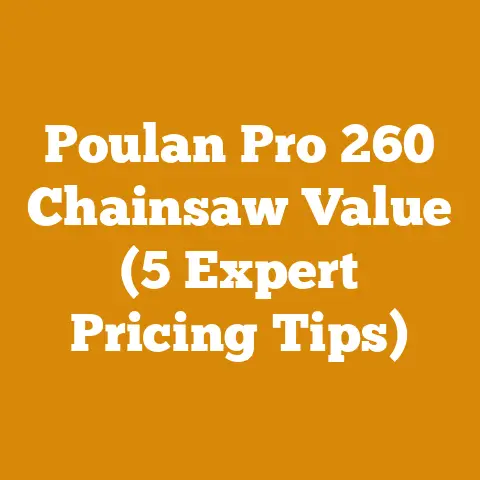 Poulan Pro 260 Chainsaw Value (5 Expert Pricing Tips)