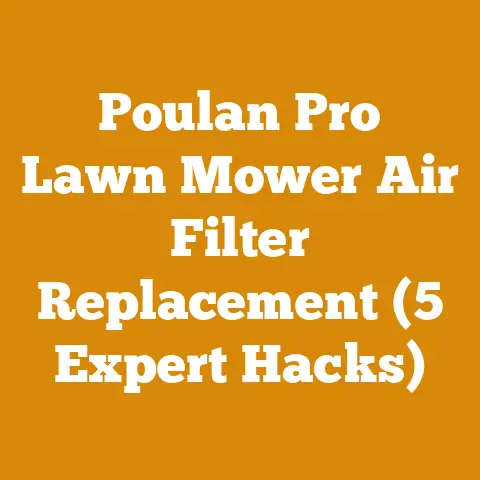 Poulan Pro Lawn Mower Air Filter Replacement (5 Expert Hacks)