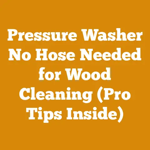 Pressure Washer No Hose Needed for Wood Cleaning (Pro Tips Inside)