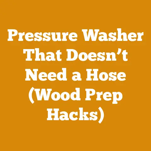 Pressure Washer That Doesn’t Need a Hose (Wood Prep Hacks)