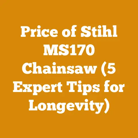 Price of Stihl MS170 Chainsaw (5 Expert Tips for Longevity)