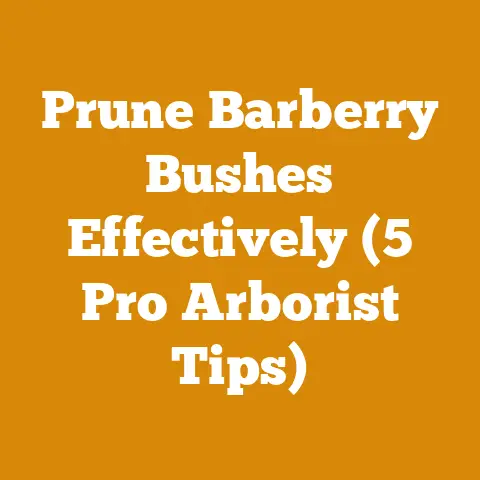 Prune Barberry Bushes Effectively (5 Pro Arborist Tips)