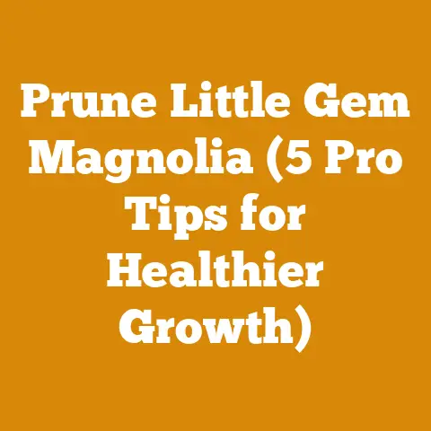 Prune Little Gem Magnolia (5 Pro Tips for Healthier Growth)