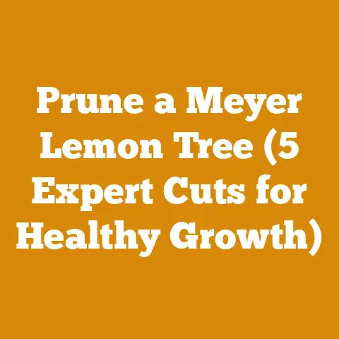 Prune a Meyer Lemon Tree (5 Expert Cuts for Healthy Growth)