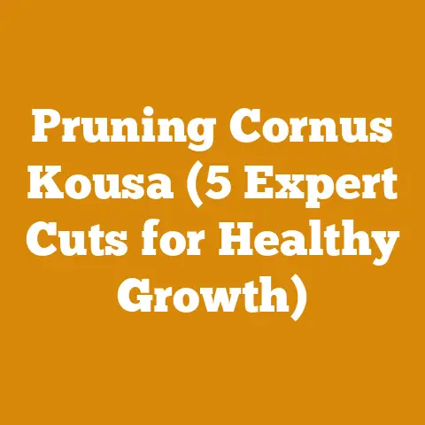 Pruning Cornus Kousa (5 Expert Cuts for Healthy Growth)