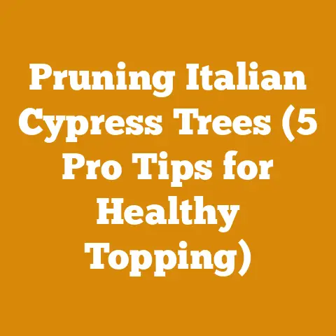 Pruning Italian Cypress Trees (5 Pro Tips for Healthy Topping)