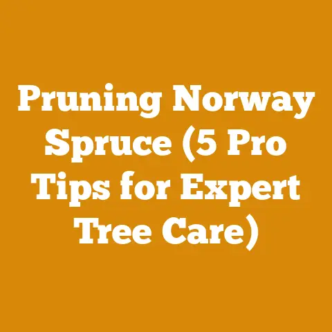 Pruning Norway Spruce (5 Pro Tips for Expert Tree Care)