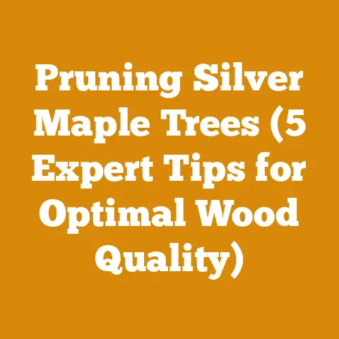 Pruning Silver Maple Trees (5 Expert Tips for Optimal Wood Quality)