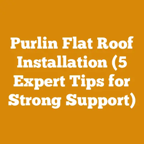 Purlin Flat Roof Installation (5 Expert Tips for Strong Support)
