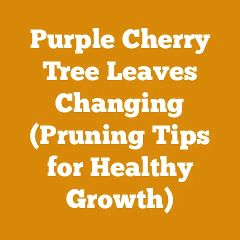 Purple Cherry Tree Leaves Changing (Pruning Tips for Healthy Growth)