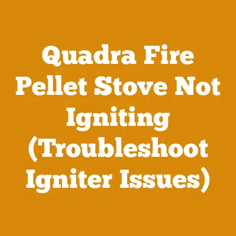 Quadra Fire Pellet Stove Not Igniting (Troubleshoot Igniter Issues)