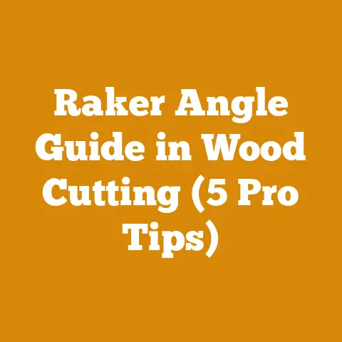 Raker Angle Guide in Wood Cutting (5 Pro Tips)