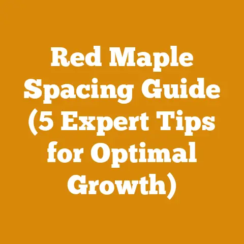Red Maple Spacing Guide (5 Expert Tips for Optimal Growth)