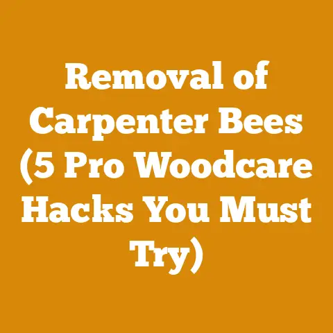 Removal of Carpenter Bees (5 Pro Woodcare Hacks You Must Try)
