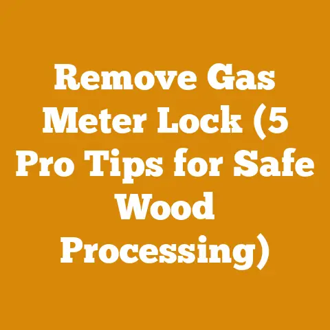 Remove Gas Meter Lock (5 Pro Tips for Safe Wood Processing)
