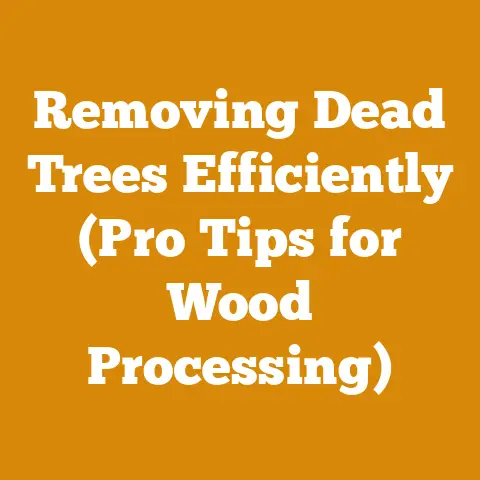 Removing Dead Trees Efficiently (Pro Tips for Wood Processing)