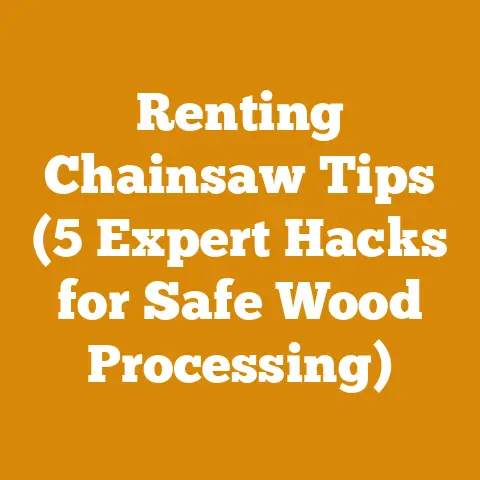 Renting Chainsaw Tips (5 Expert Hacks for Safe Wood Processing)