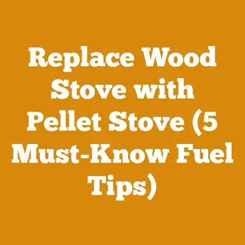 Replace Wood Stove with Pellet Stove (5 Must-Know Fuel Tips)